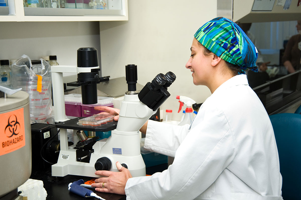 Doctor in a lab examines samples under a microscope