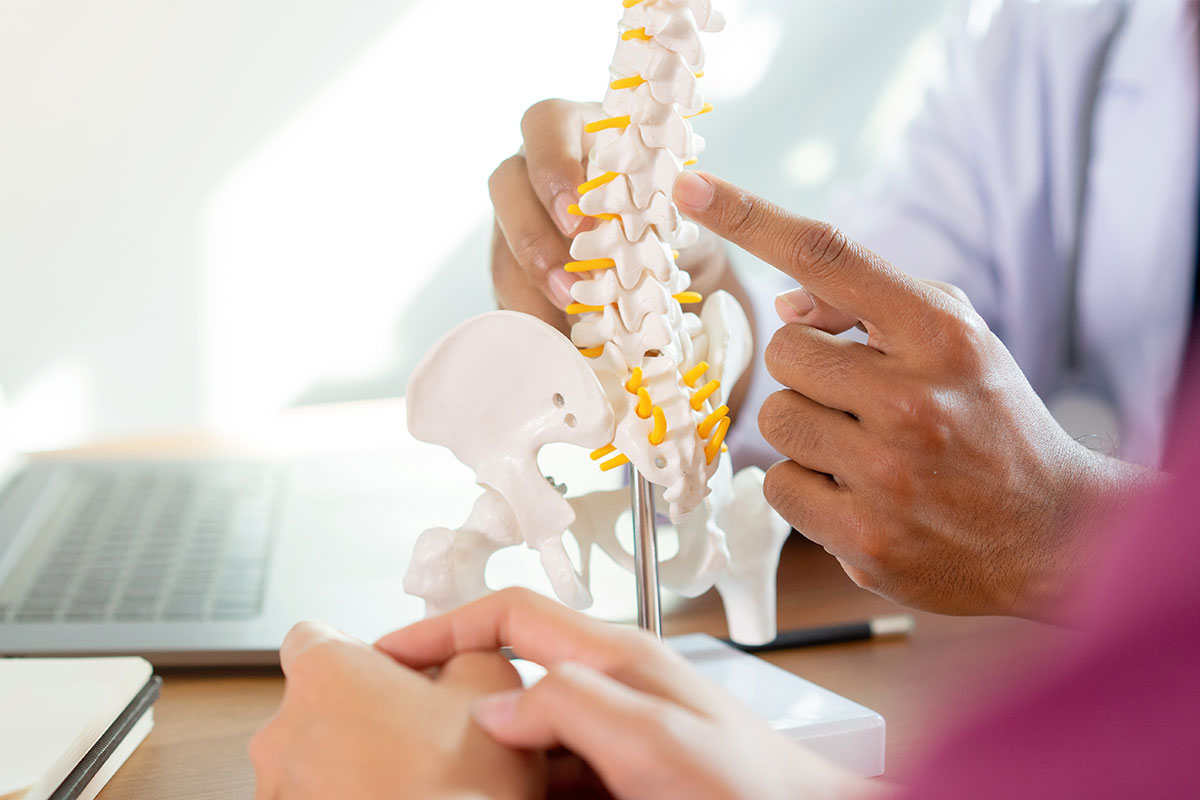 Close-up of a physical therapist's hand pointing to a lower back model to consult with a patient.
