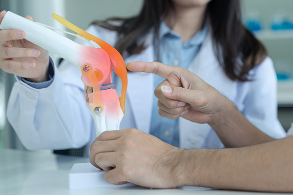 A doctor holds a model of a knee joint while discussing knee replacement surgery options.