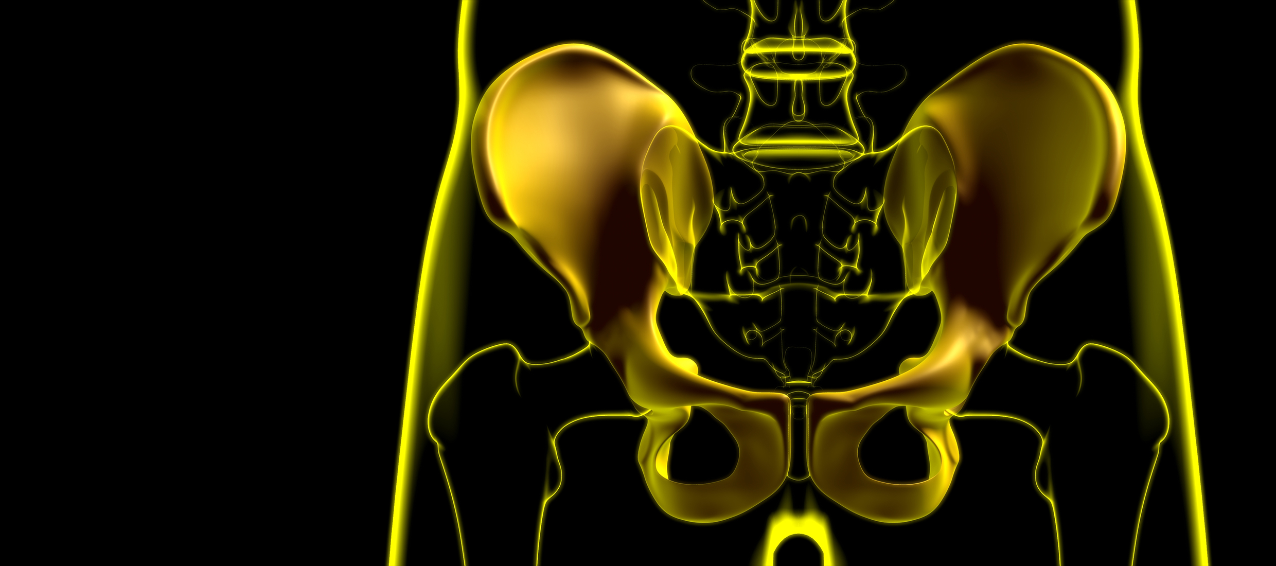 A rendering in yellow on a black background of the pelvic floor area of the human body