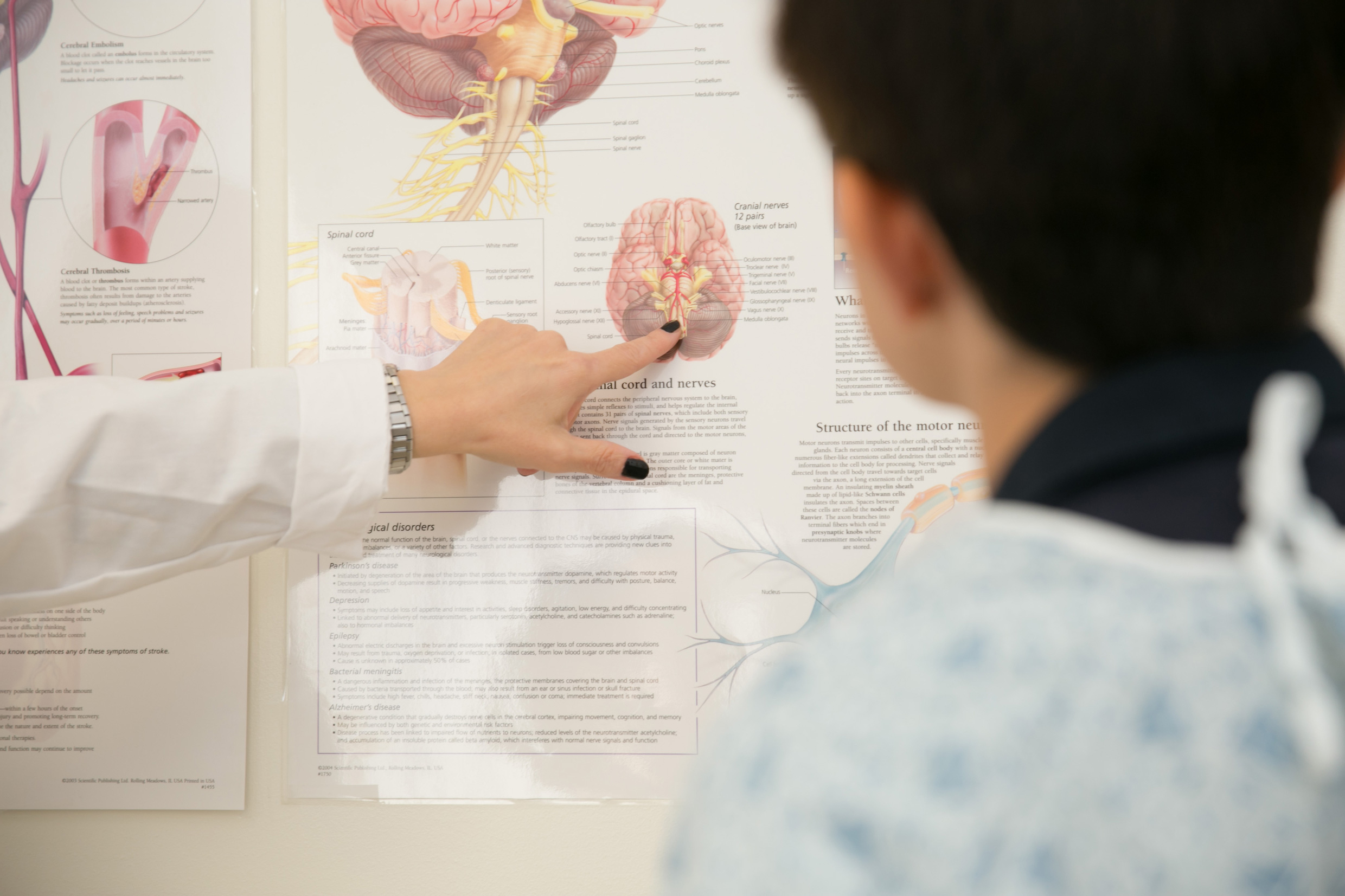 Neurocritical Care and Stroke Division