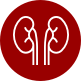 Urological Care