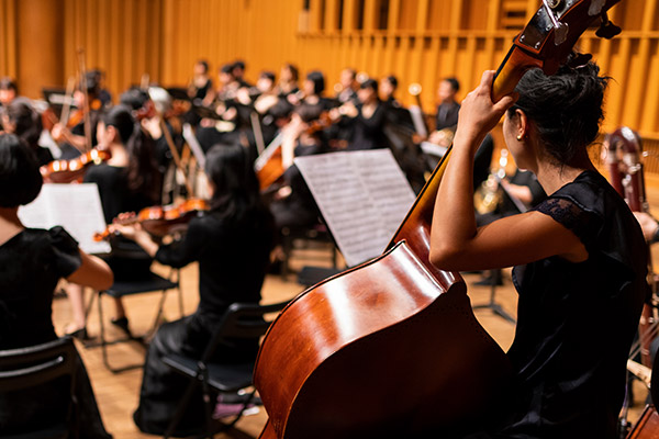Symphony orchestra performing on a concert stage.