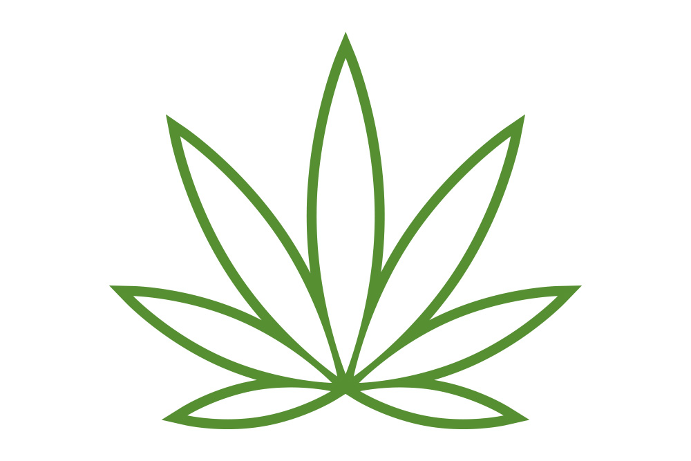 A graphic design of a green marijuana leaf