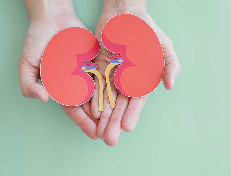 Living Kidney Donor Webinar: Health Support and Financial Resources