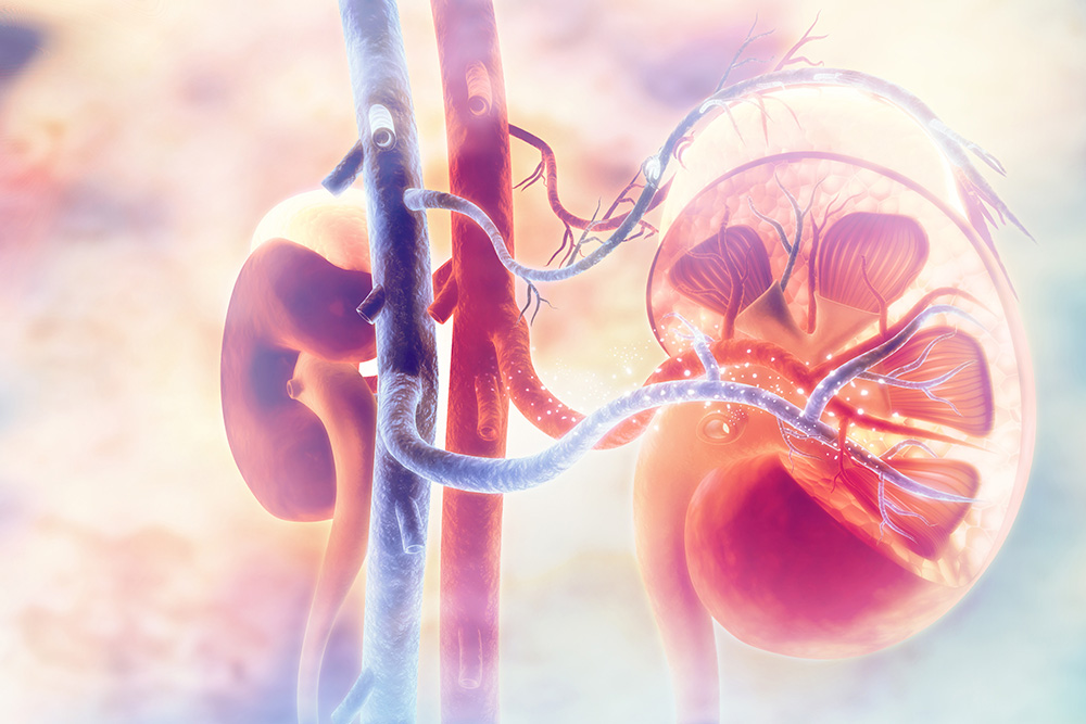 Keck Medicine of USC: Advances to Reduce Kidney Transplant Wait Times