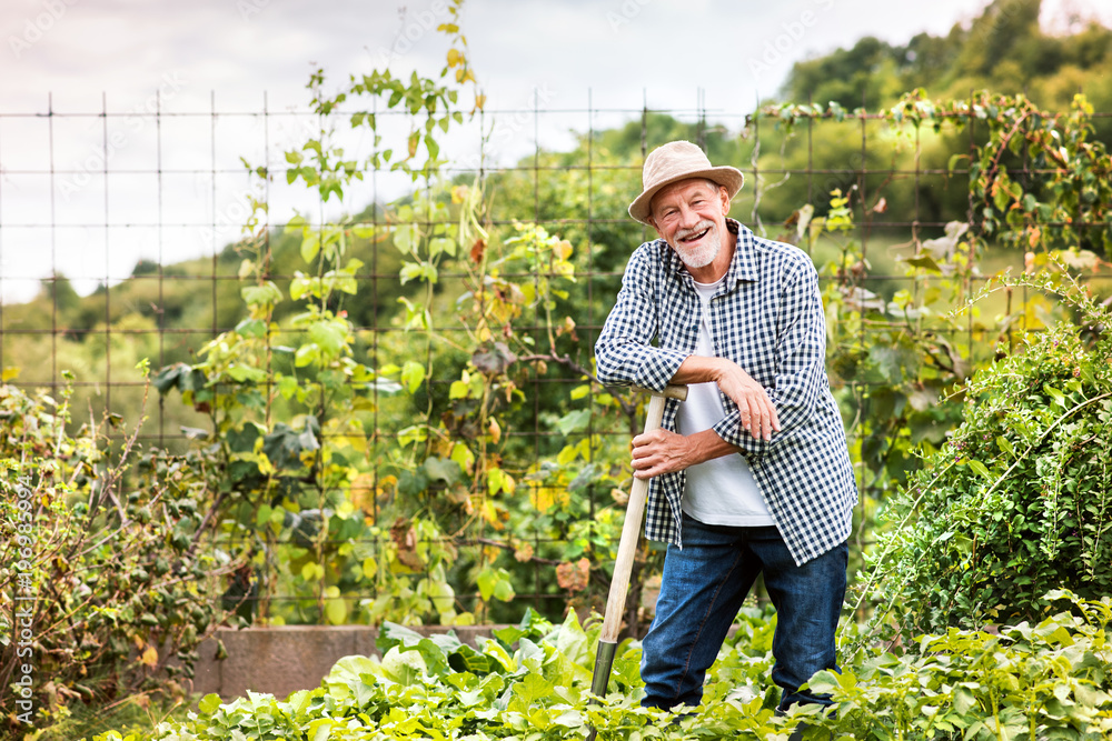 A man leans on a tool in a garden.