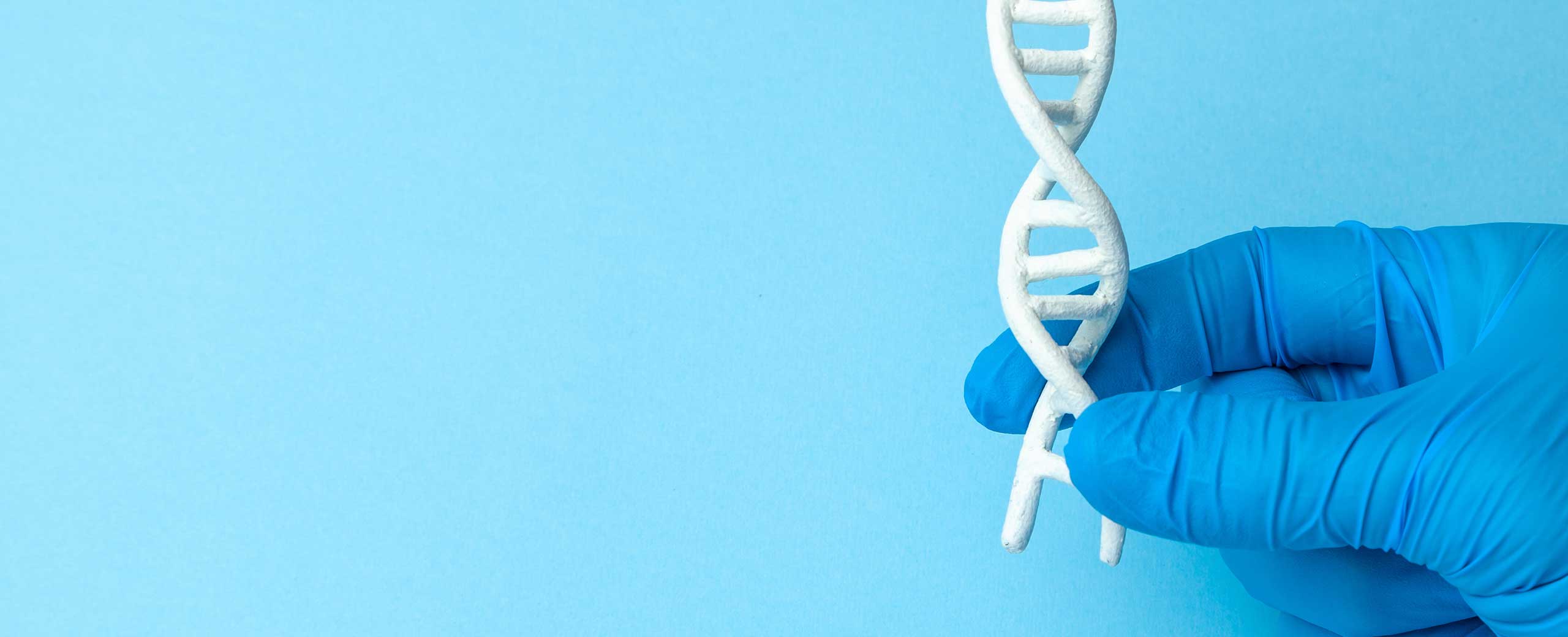 A hand holds a model of DNA.